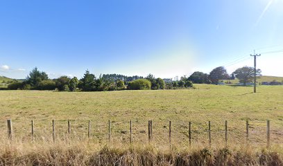 waihapa production station