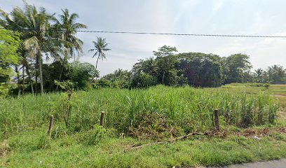 Rumah Bapak Ismadi-Fatimah-Sutini-Farhan