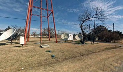 Roosevelt water tower/Bronco