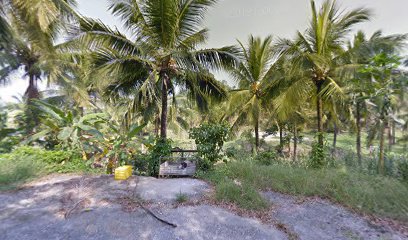 椰子林美食餐廳 的照片