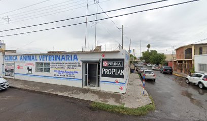 Clinica Animal Veterinaria