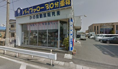 バッファロー30分車検 / 鹿野自動車販売㈱