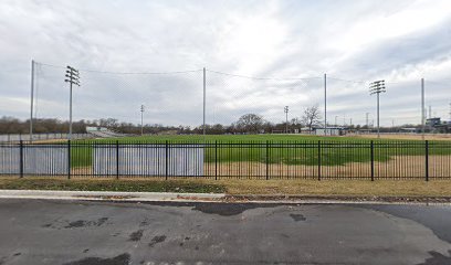 Lion Soccer Field