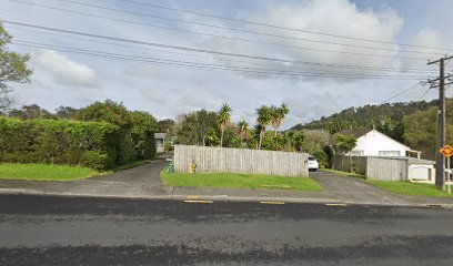 Kiwi home painting