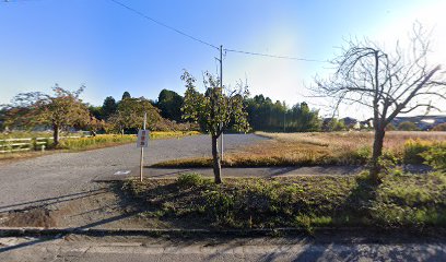 田上運動公園