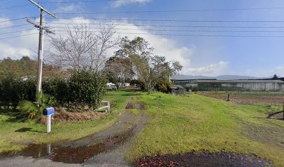 Kaimai View Flowers