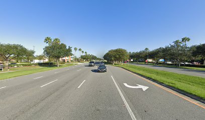 Tree Service and Trimming Hunters Creek