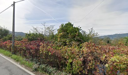 Ocpl-Obras Civis E Públicas, Lda.