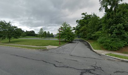 Basketball court