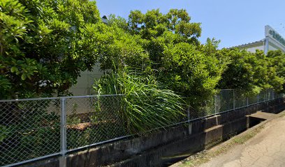 東海青果市場