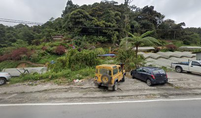 Tadika Junior Berjaya