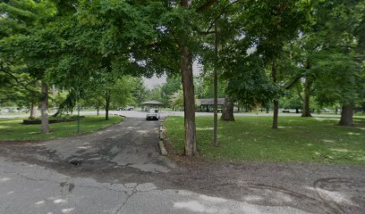 Big Lions Shelter