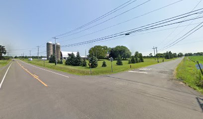 Corner View Farms