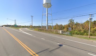 Madison water tower/Carousel