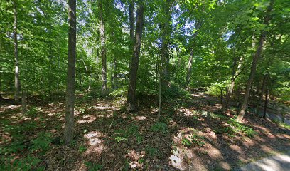 Shelter 201 Hilton Area Patapsco Valley State Park