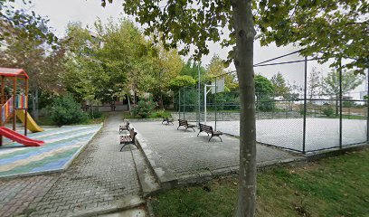 Basketbol Sahası