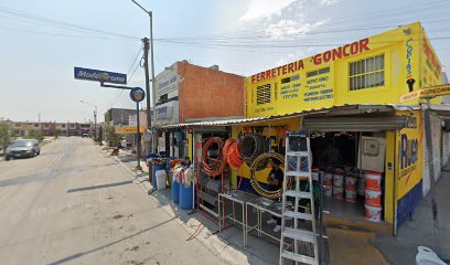 FRUTERIA ABARROTES Carbón Lena