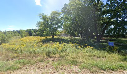 Ancient Roots Native Nursery