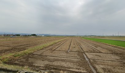 なかむら接骨院/はりきゅう院