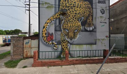 Pintura Mural Yaguareté