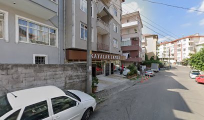 Kayalar Ekmek