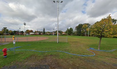 Parc de la Reine-Élizabeth baseball field