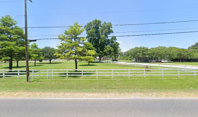 Backyard Saloon