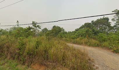Barito Bangun Sawmill