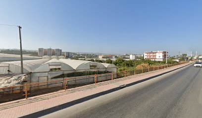 Güney Akdeniz Seyahat