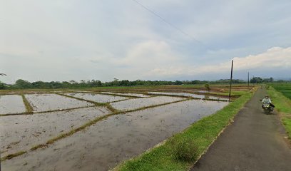 Sambeng kulon