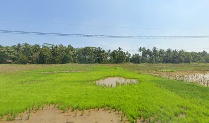 Kp sawah