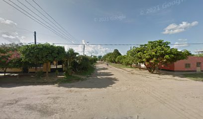 Transportes de los Llanos Saval S.A.S