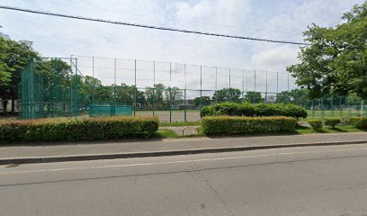 元村公園 少年野球場