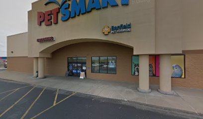 PetSmart Dog Training