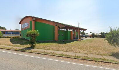 Gimnasio Municipal Barros Arana