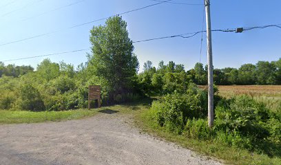 Pinconning Nature Preserve, Saginaw Basin Land Conservancy