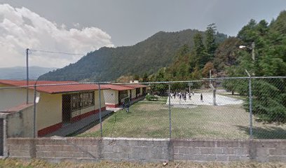 Escuela Primaria LEONA VICARIO