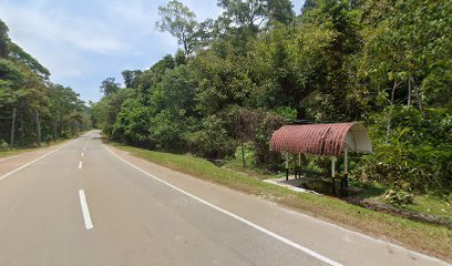 Opposite Kampung Tersusun Bukit Buluh,Jalan Baling - Kuala Kangsar