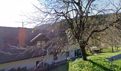 Stavbno kleparstvo in krovstvo Jan Lotrič s.p.