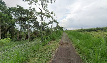 Makam Punden Mbah Soleh