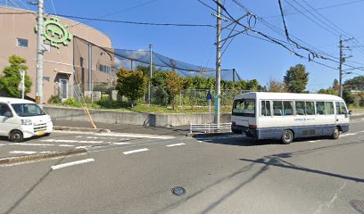 野鳥観察所