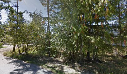 The Cabin on Kootenay Lake