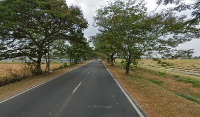 Crabee Tomyam Pokok Sena