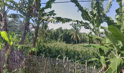 Ko Cikoneng lapang bola voly