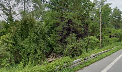 Shotwell Brook Public Fishing Access