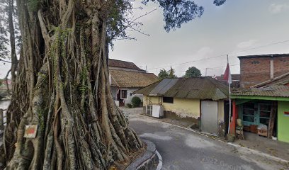 POHON BESAR KEDUNGSARI