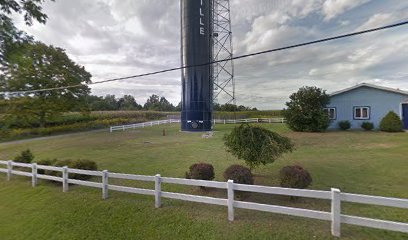 Deersville water tower/Flag