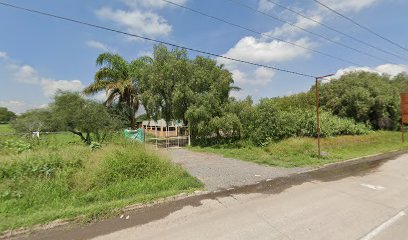 Escuela de Futbol Chivas la Luz Celaya