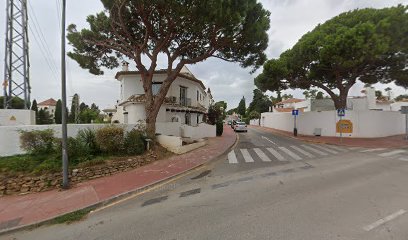 Jardín botánico - Pino Piñonero Avda. De España - Calahonda