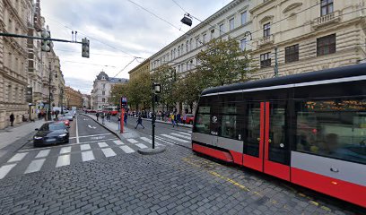 Společnost tance při Taneční konzervatoři Praha